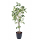 Ficus artificiel tronc plastique 150cm