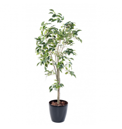 Ficus artificiel | Tronc plastique 150cm
