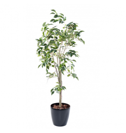 Ficus artificiel tronc plastique 150cm