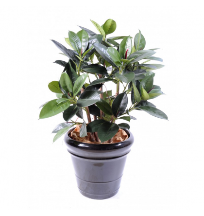 Ficus artificiel | Elastica buisson 90cm