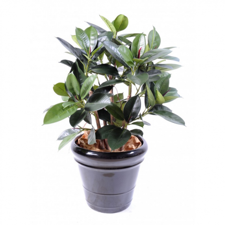 Ficus artificiel Elastica buisson 90cm