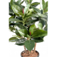 Ficus artificiel Elastica buisson 90cm