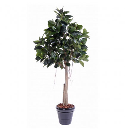 Ficus artificiel Rubber plant tree 220cm