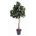 Ficus artificiel Rubber plant tree 220cm