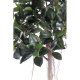 Ficus artificiel Rubber plant tree 220cm