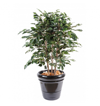 Ficus artificiel exotica buisson H80 & 110cm