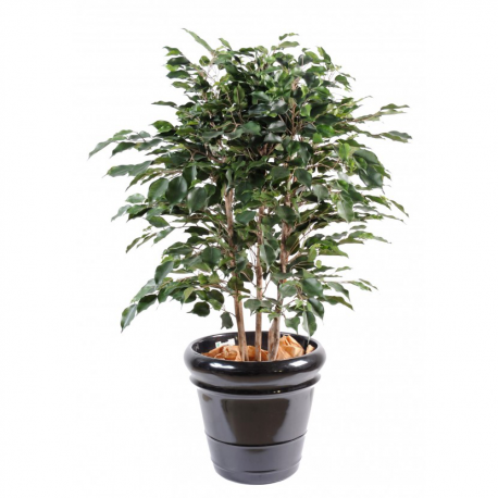 Ficus artificiel Exotica buisson 80 et 110cm