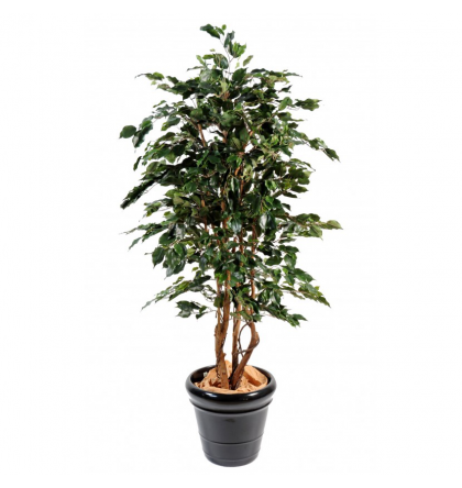 Ficus artificiel |Exotica 180 et 210cm