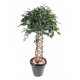 Ficus artificiel cage 140 et 170cm