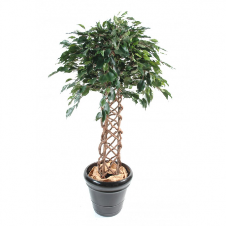 Ficus artificiel cage 140 et 170cm