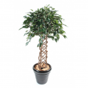 Ficus artificiel | Cage 140 et 170cm
