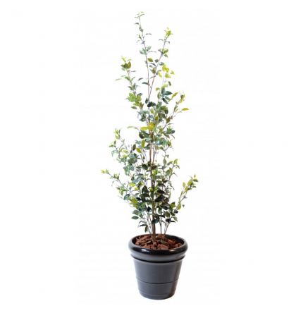 Ficus artificiel | Buisson plast 160cm