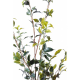 Ficus artificiel plast 180cm