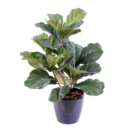 Lyrata buisson | Ficus artificiel 60cm