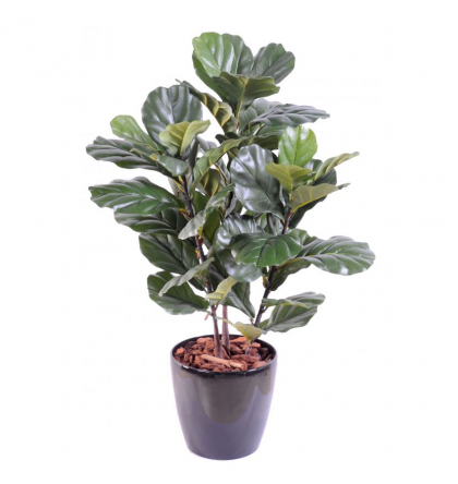 Lyrata tige | Ficus artificiel (figuier) 90 à 190cm