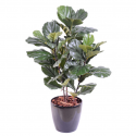 Lyrata tige | Ficus artificiel (figuier) 90 à 190cm