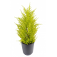 Cyprès artificiel mini Juniperus UV 55cm