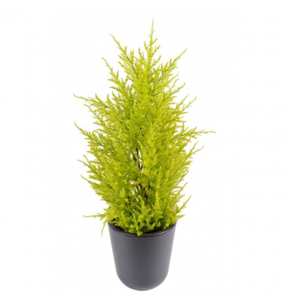 Cyprès artificiel mini Juniperus UV 55cm