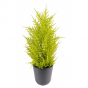 Cyprès artificiel UV mini Juniperus H55cm