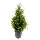 Cyprès artificiel Juniperus vert 2 tons 65 à 160cm