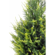 Cyprès artificiel Juniperus vert 2 tons 65 à 160cm